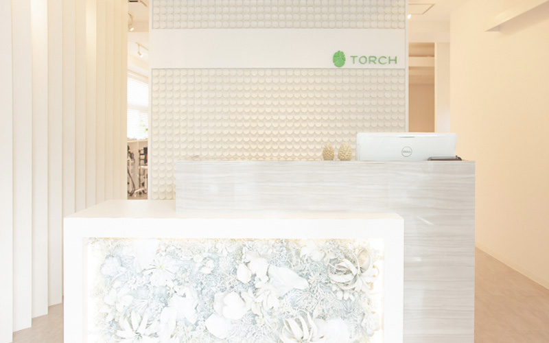 TORCH asuroad.st